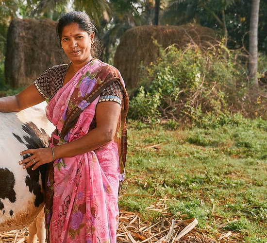 Waterorg_Our-Impact_All-Stoires_Sunita_Header